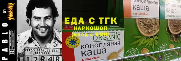индика Нягань