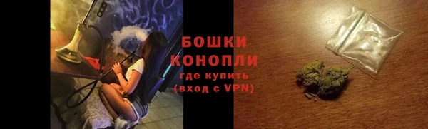 индика Нягань