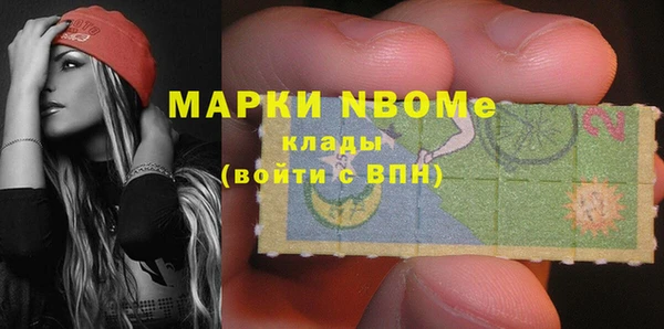 дживик Няндома