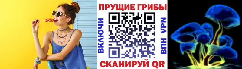 Псилоцибиновые грибы MAGIC MUSHROOMS  Злынка 